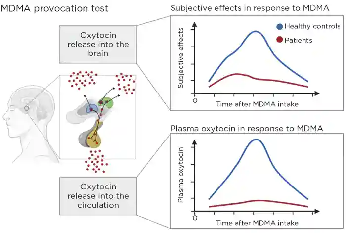 Schematic illustration of the study results.