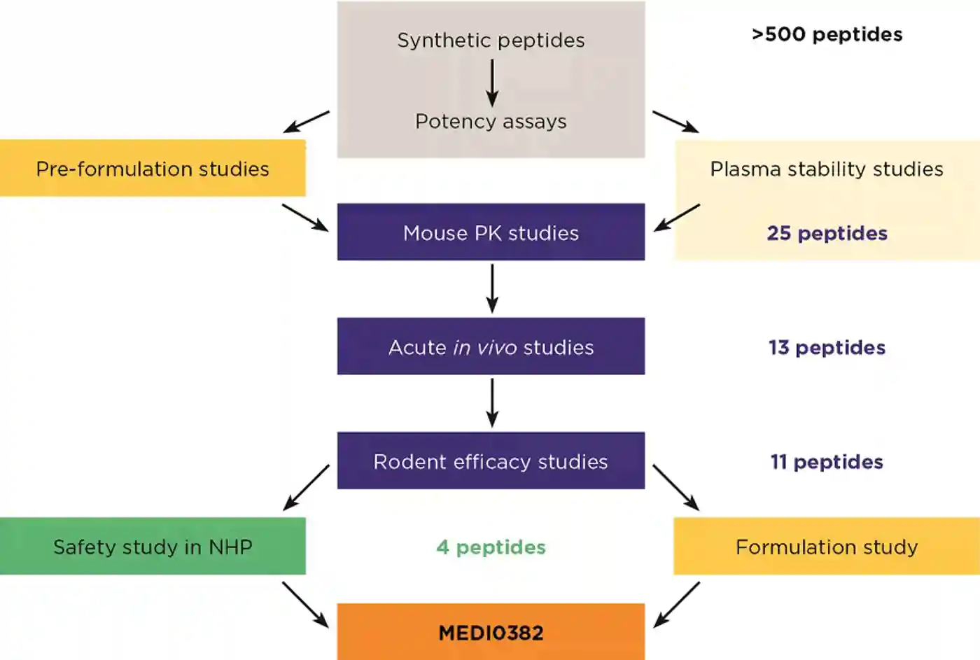 Figure 2. Discovery of MEDI0382, an oxyntomodulin-like peptide for treatment of type 2 diabetes and obesity (2). NHP=non-human primate; PK=pharmacokinetics