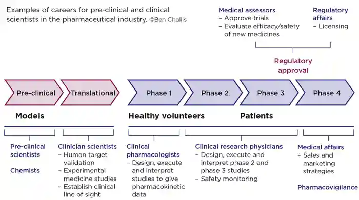 The Endocrinologist 127 P8.jpg