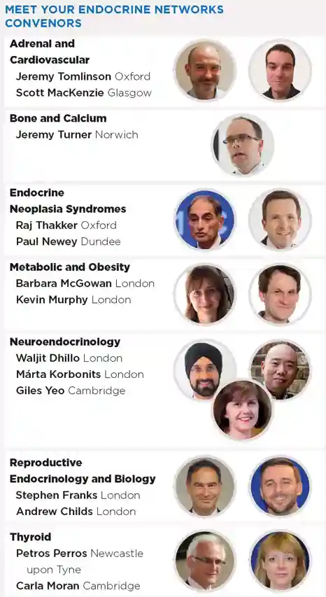 endocrine_networks.jpg (1)