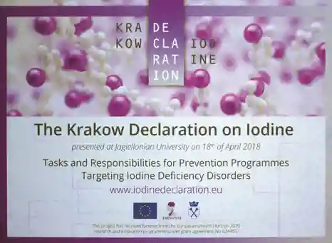 P30_KRAKOW DECLARATION.jpg