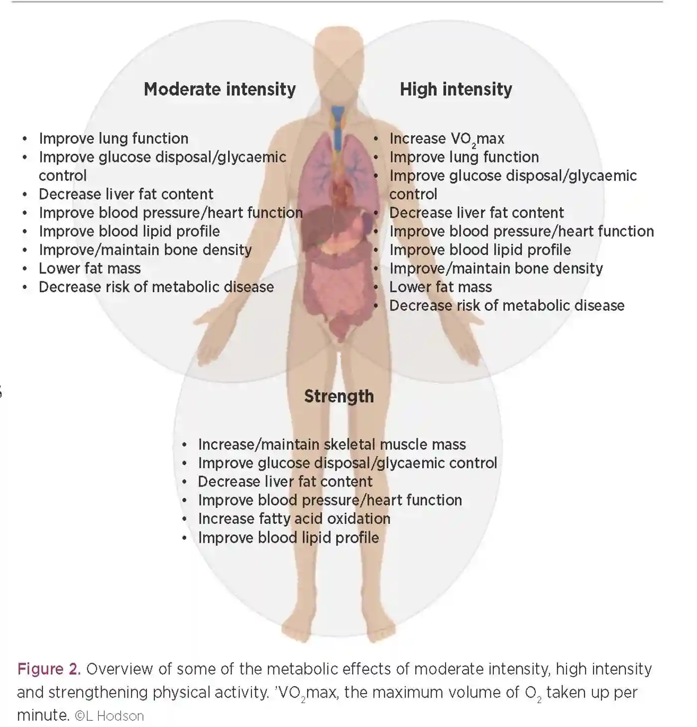 hodson_figure2.jpg