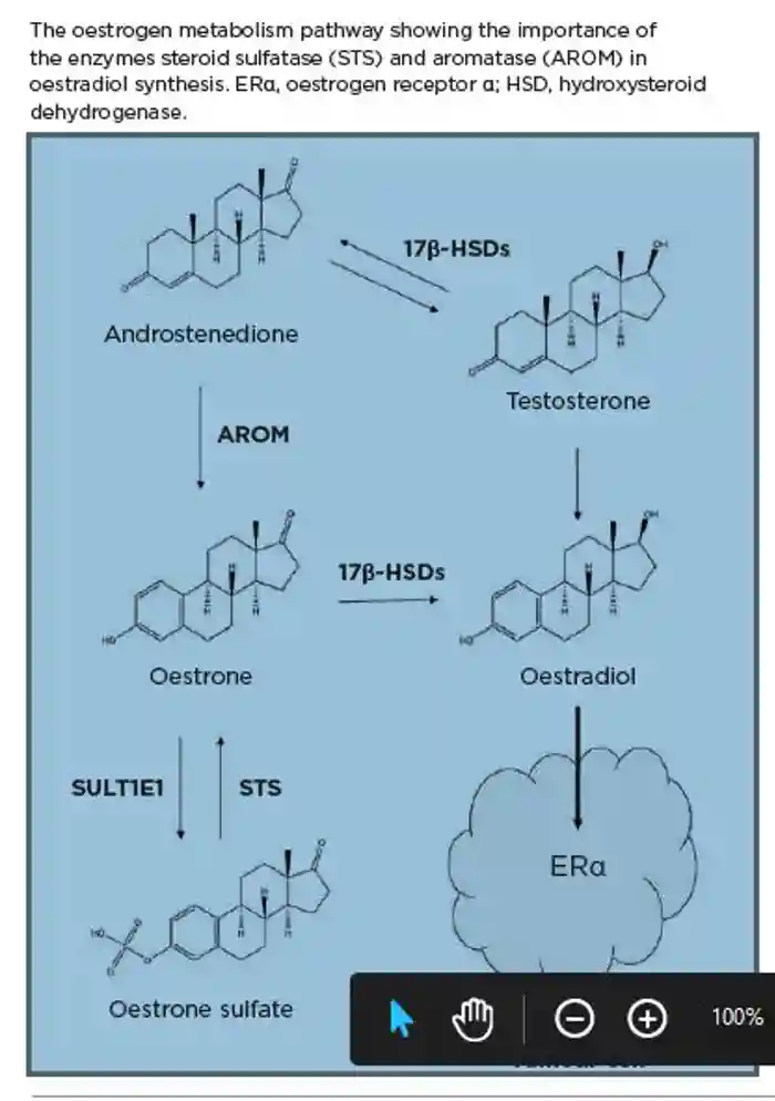 p9 Paul Foster Figure 1.jpg