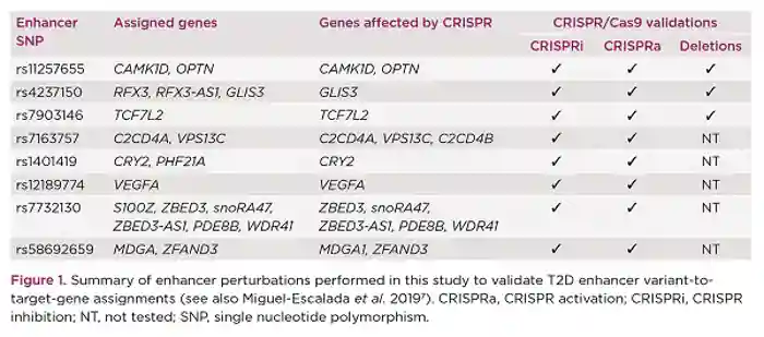 Endocrinologist 137 p24 (1).jpg