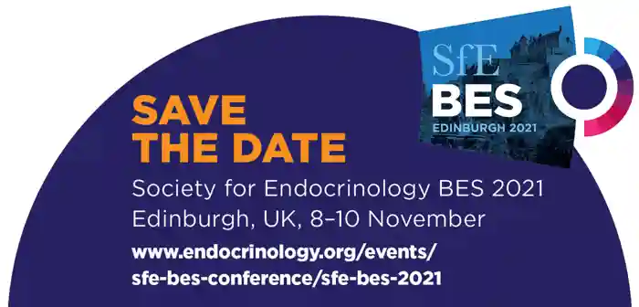 Endocrinologist 138 27-Save the Date.jpg