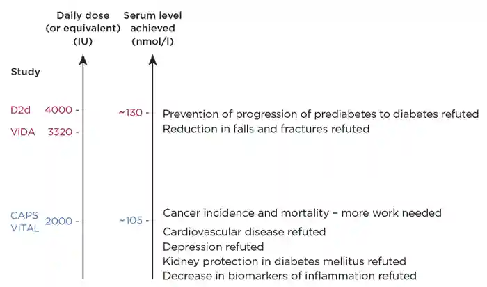 Recent evidence on vitamin D supplementation has been disappointing in the cardiovascular, endocrine and musculoskeletal fields, but has shown a potential positive signal in the cancer area. Credit: Bo Abrahamsen