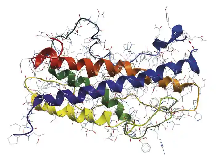 Human growth hormone. Credit: shutterstock