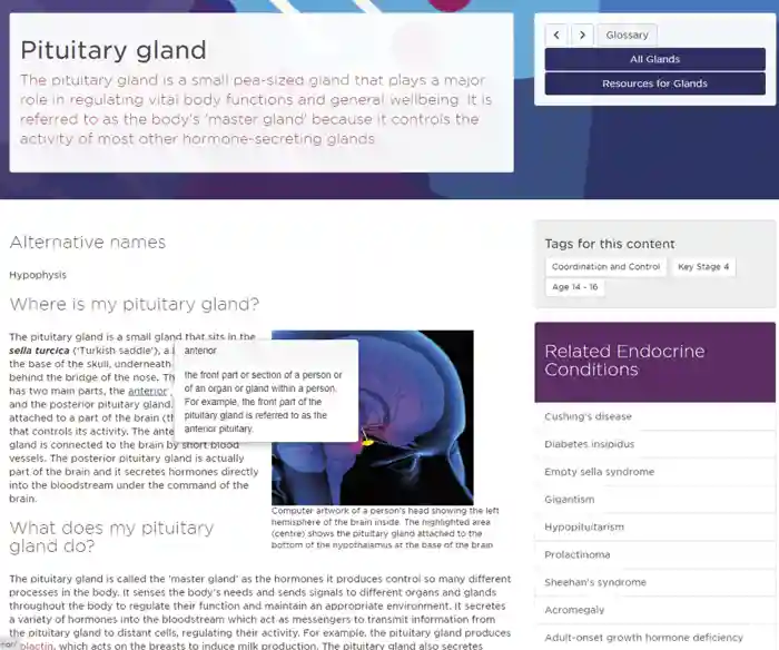 Glossary: new behind-the-scenes features simplify navigation of the site.  Search function adjustment now allows misspellings and non-exact phrasing to return the correct results. ‘Popover’ glossary summaries on keywords in articles aid comprehension without interrupting the readers’ flow. Site functionality has been optimised for speed, mobile phone viewing and search engine rankings.