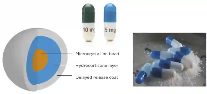 Figure 1. Chronocort multi-particulate formulation.