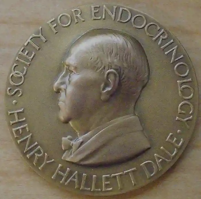 The Dale Medal