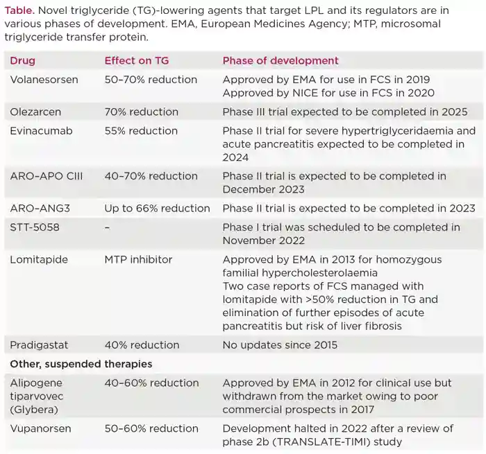 Endocrinologist 146 P19