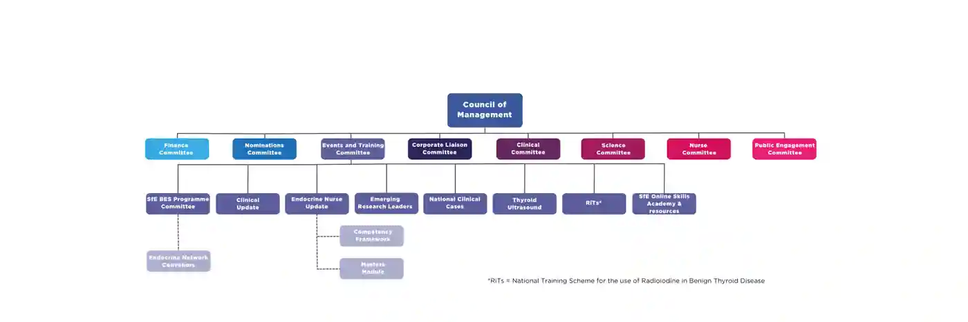 Society Council and committees organisational structure