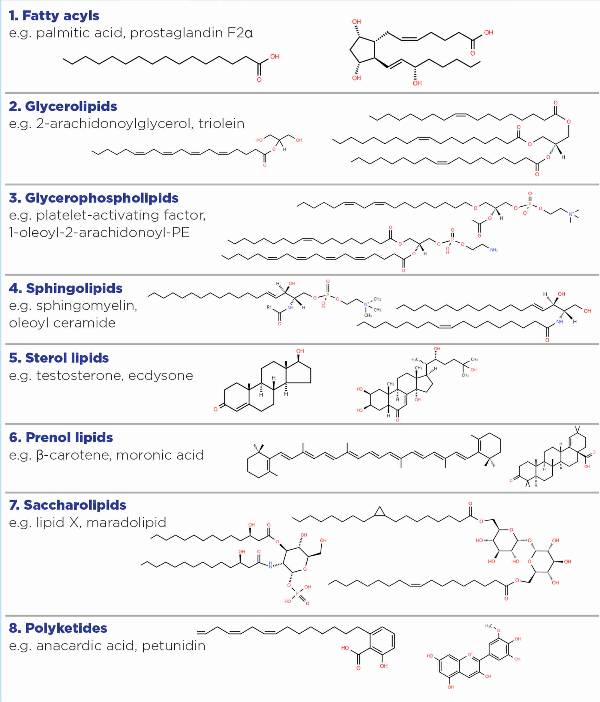 Figure 1. The eight LIPID MAPS categories to classify lipids, and examples of each.