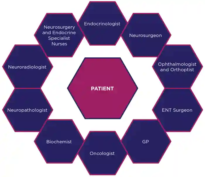 Figure. Management of patients with pituitary conditions involves a team of healthcare professionals.