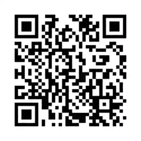 P28 QR Code