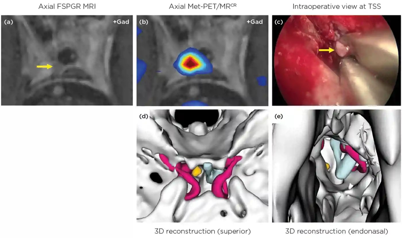 Endocrinologist 144 P14 Diagram